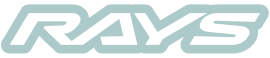 rays-company logo